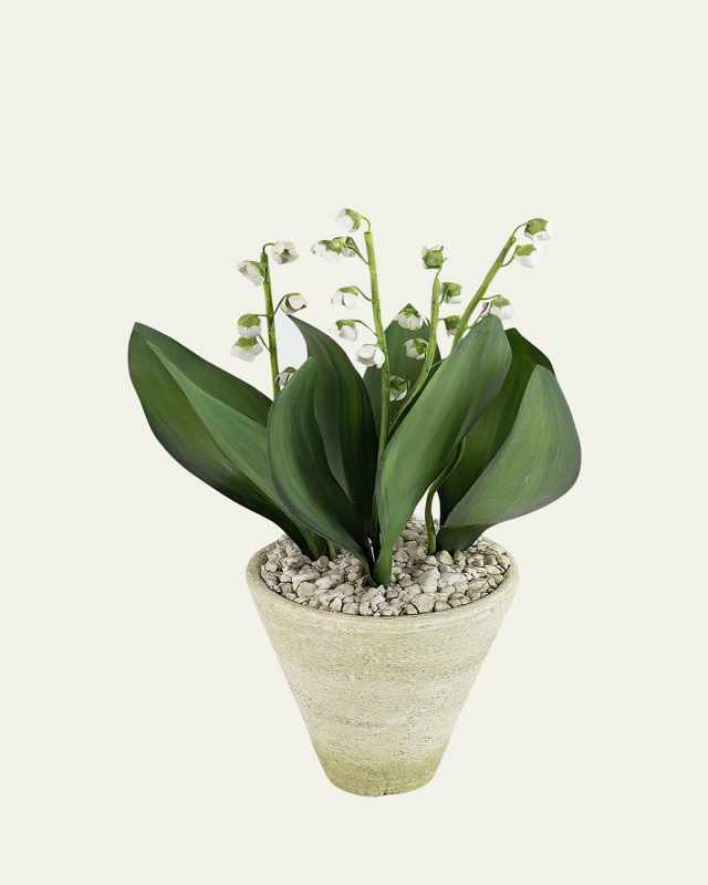 Lily of the Valley May Birth Flower in White Terracotta Pot